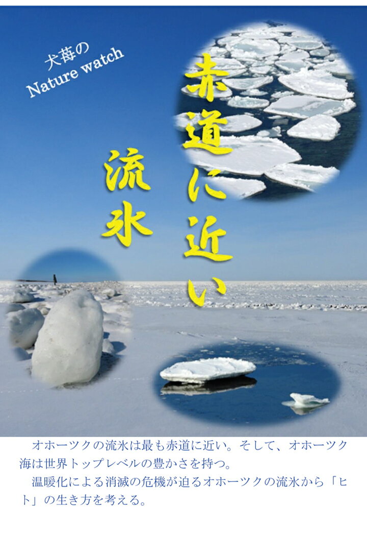 【POD】赤道に近い流氷