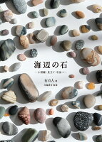 海辺の石