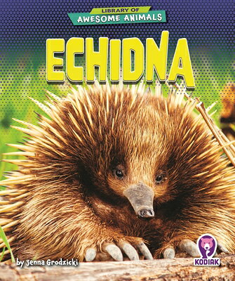 Echidna ECHIDNA （Library of Awesome Animals） [ Jenna Grodzicki ]