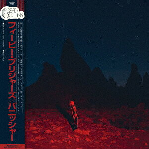PUNISHER【アナログ盤】