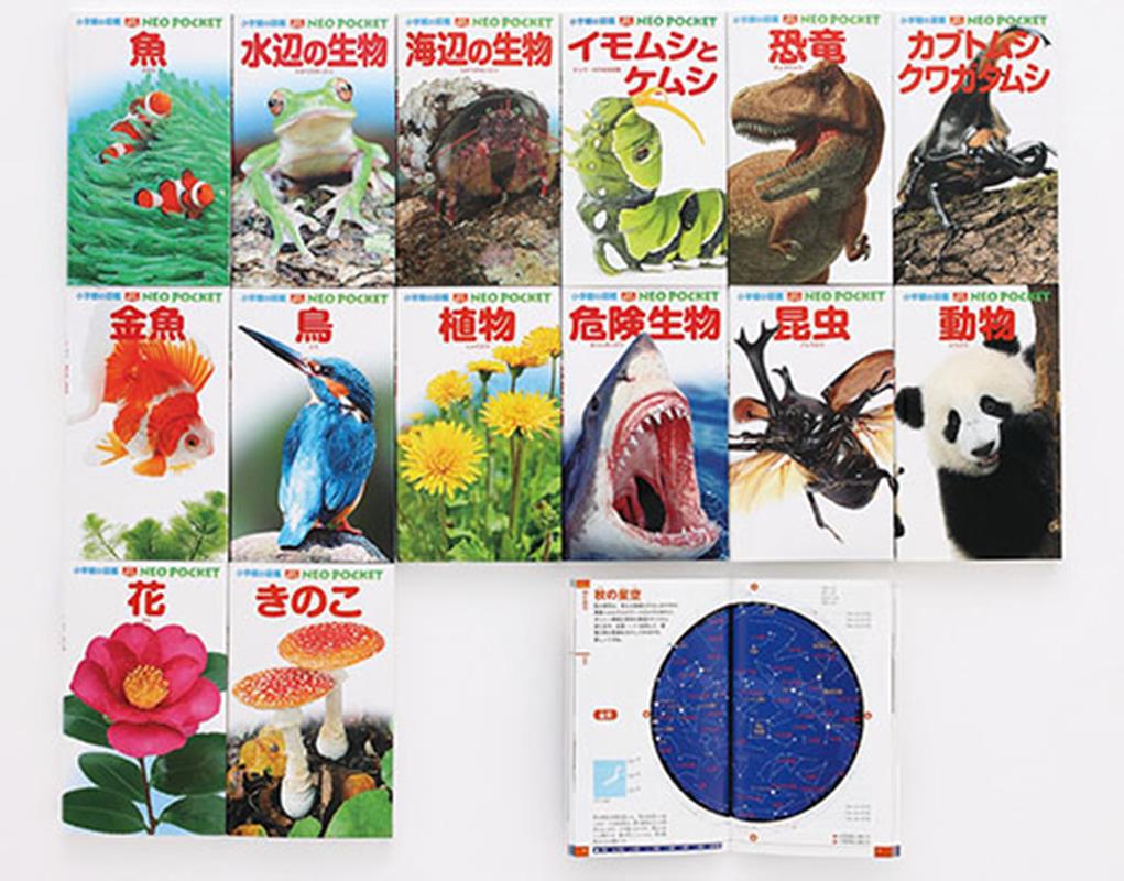 楽天市場】学研 ポケット 図鑑 セットの通販 楽天市場】学研 ポケット 図鑑 セットの通販