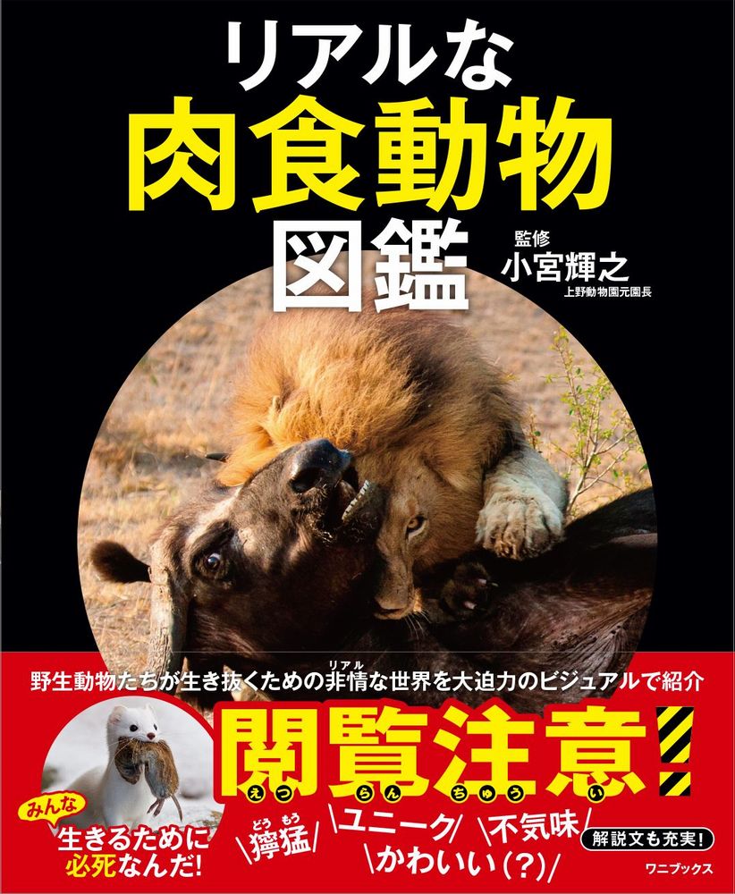 小宮 輝之 ワニブックスリアルナニクショクドウブツズカン コミヤ テルユキ 発行年月：2020年07月08日 予約締切日：2020年06月09日 ページ数：144p サイズ：単行本 ISBN：9784847099458 1　獰猛なハンター／2　ユニークなハンター／3　捕食を巡るたたかい／4　不気味な捕食者／5　美しい狩り／6　かわいいハンター 肉食動物は草食動物などを食べることで、自分の体を維持する。生きものは、生きていくために、食べたり食べられたりする「食物連鎖」の関係で複雑に繋がっている。肉食動物はチームワーク、スピード、パワーなどの技を備え、ほかの動物を捕獲するために、みごとな能力を進化させてきた。人間から見れば、奇妙な形態も生態も、獲物を狩るための「究極の姿」なのだ。野生動物たちが生き抜くための非情な世界を大迫力のビジュアルで紹介。 本 科学・技術 生物学 科学・技術 動物学