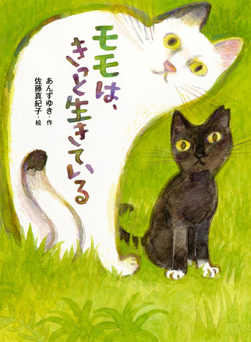 【小学3年生〜4年生のお子さんにおすすめ！】
・夏休みの読書感想文にも！
・主人公のあかりは、野良猫の「モモ」に再会できるのか！？
・「人と生き物との共生」「行動する勇気」などがテーマ
ーーーーーーーーーーーーーーーーーーーーーーーーーーーーーーーーーーーーーーーーーーーー
ある日、庭に迷いこんできた小さな白猫。あかりはその猫に「モモ」と名前をつけ、遊ぶのを楽しみにしていました。ところが母親に追い払われてしまい、それきりモモは現れなくなってしまいます。
半年後、近所の公園で大きく成長したモモと偶然再会したあかりは、もう一度会いたい一心で公園へ通いはじめるのですが……。
野良猫の親子をかわいがっていた松本くん、あかりが密かに心を寄せる藤沢くん、そして謎めいた“猫さらい”の女性ーー。野良猫の命を守るために、大人と子どもが手を取り合い、行動を起こしていきます。
野良猫の保護活動には、里親探しや保護猫カフェでの譲渡、不妊手術を施して元の場所に戻すTNR活動、地域猫への給餌やトイレの管理など、さまざまな取り組みがあります。しかし、すべての猫に里親が見つかるわけではありません。それぞれの猫にとっての“幸せのかたち”を見つけるために、私たちにできることは何かーー。人と動物との関わりを、子ども目線でまっすぐに問いかける物語です。
1．モモ　2．松本くん　3．ネコさらい　4．リンゴマークの正体　5．事件　6．まさか、まさか　7．金色の目　8．ネコさがし　9．ノラネコの命　10．わたしにできること　11．地域ネコ　12．希望　13．モモは、きっと生きている