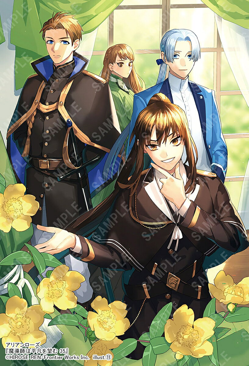 魔導師は平凡を望む 35