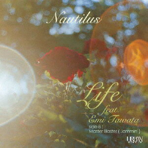 Life feat. Emi Tawata (Des'ree cover)/Master Blaster (Jammin') (Stevie Wonder cover)【アナログ盤】