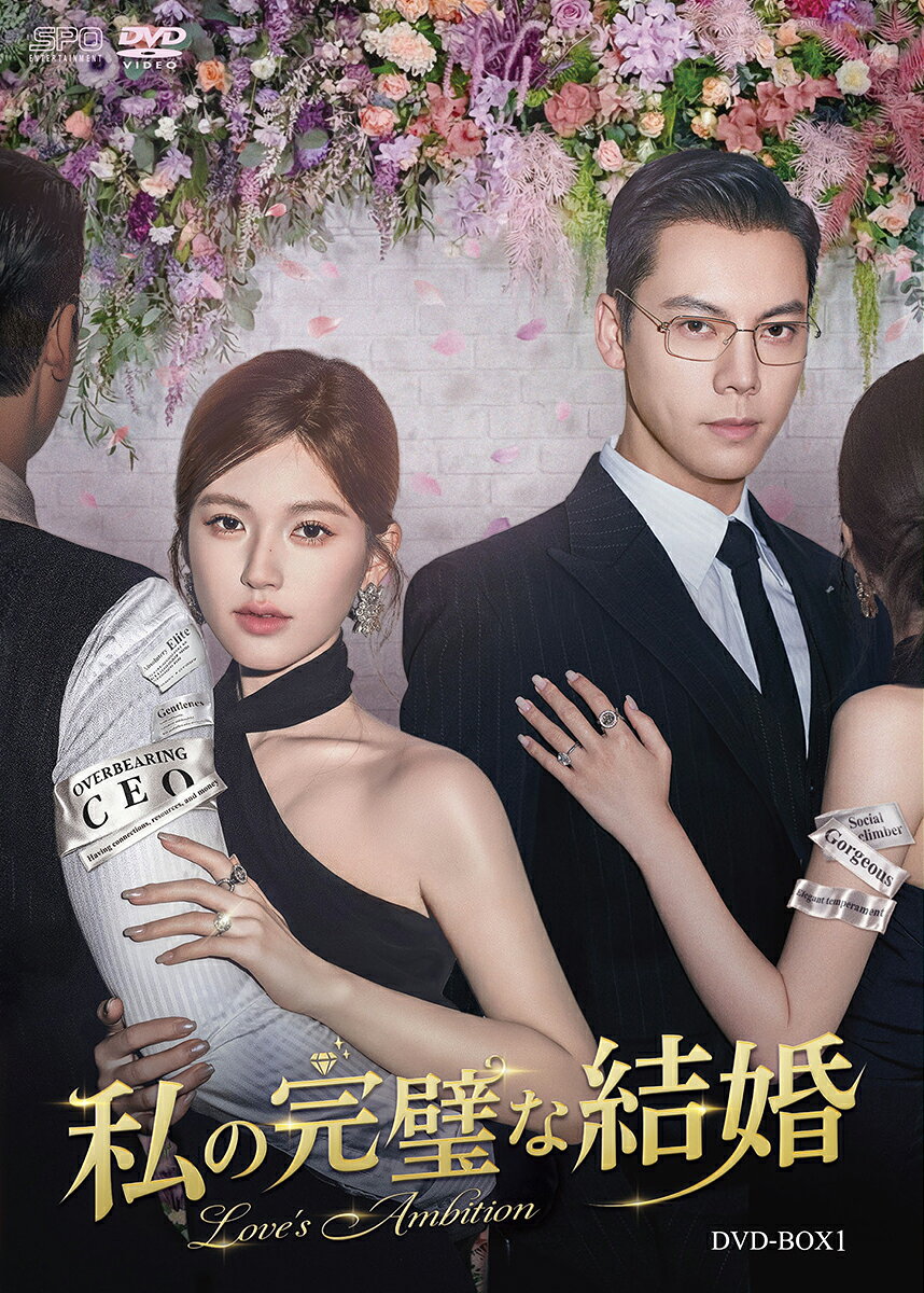 私の完璧な結婚 DVD-BOX1