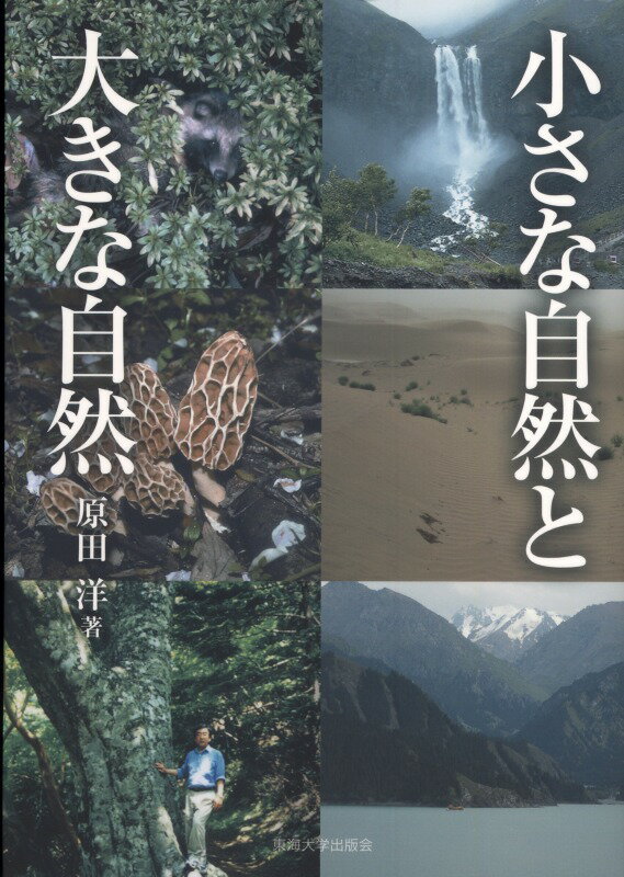小さな自然と大きな自然