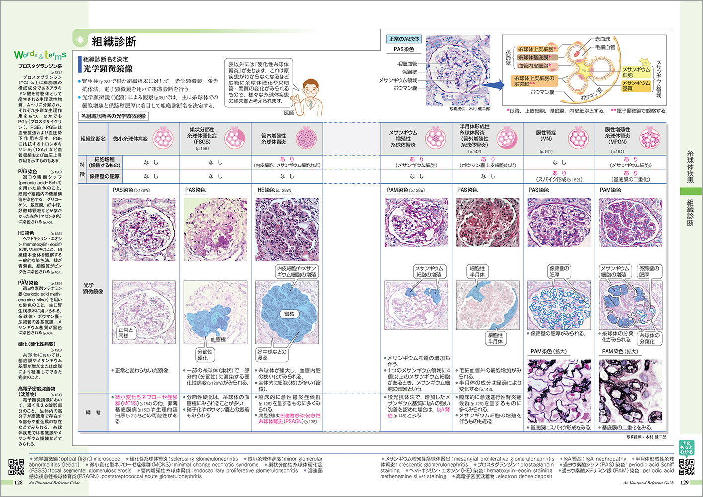 病気がみえる（vol.8） 腎・泌尿器 [ 医療情報科学研究所 ] 3