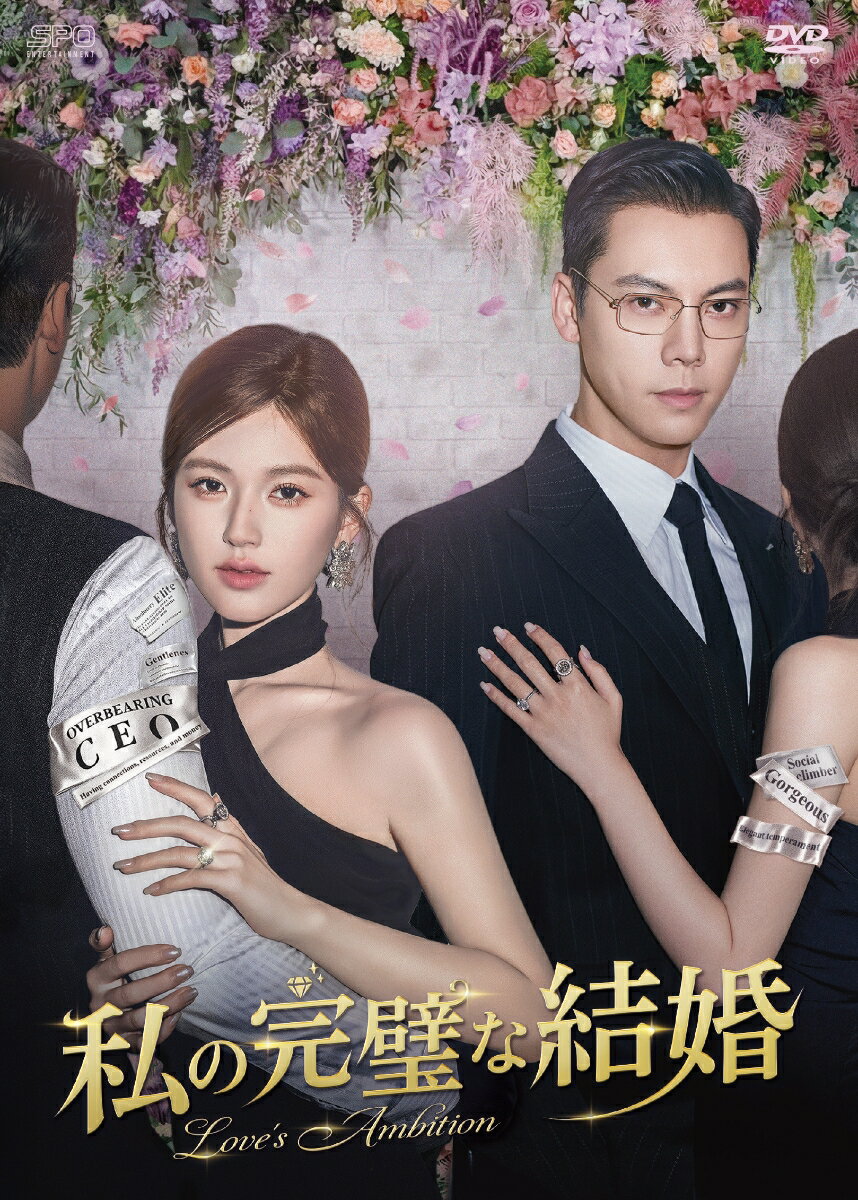 私の完璧な結婚 DVD-BOX2