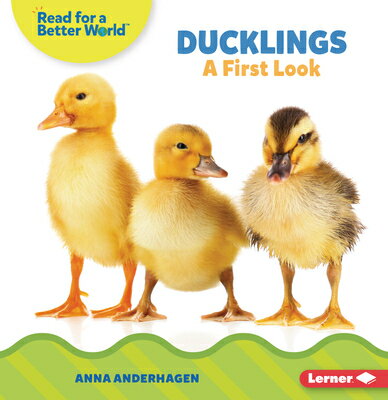 Ducklings: A First Look DUCKLINGS （Read about Baby Animals (Read for a Better World (Tm))） [ Anna Anderhagen ]