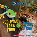 Red-Eyed Tree Frog or Wood Frog (Wild World: Hot and Cold Animals) RED-EYED TREE...