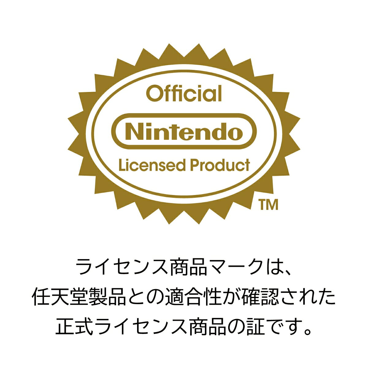 USBカメラ for Nintendo Switch 2 book-21607242 楽天ブックス サンプル画像2
