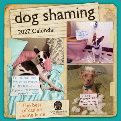 Dog Shaming 2027 Wall Calendar DOG SHAMING 2027 WALL CAL 