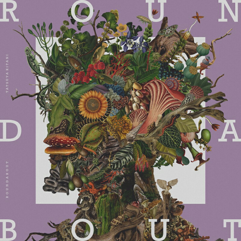 ROUNDABOUT (初回生産限定盤 CD＋Blu-ray＋LPサイズジャケット) [ キタニタツヤ ]