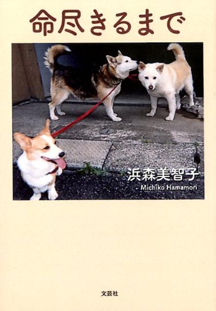 命尽きるまで