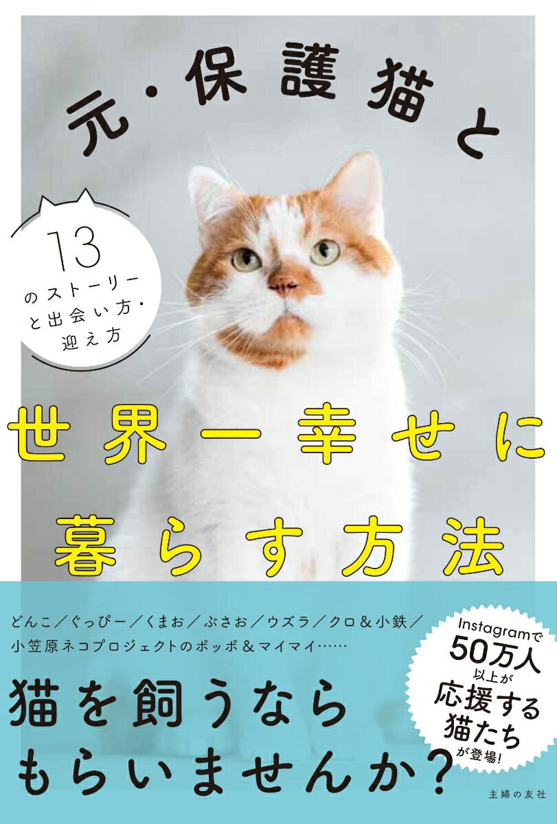 元・保護猫と世界一幸せに暮らす方法 [ 主婦の友社 ]