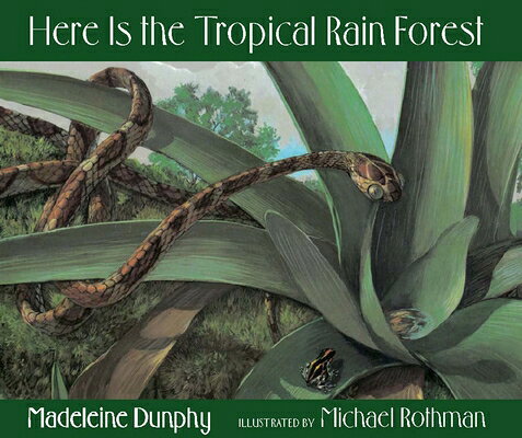 Here Is the Tropical Rain Forest HERE IS THE TROPICAL RAIN FORE （Web of Life） [ Madeleine Dunphy ]