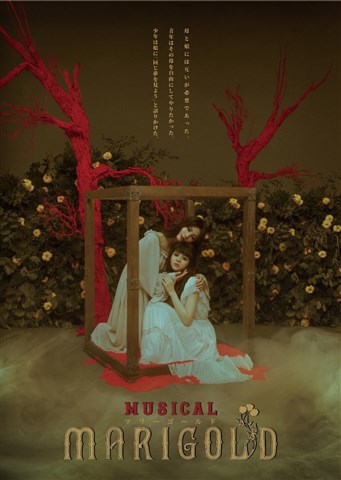 TRUMPシリーズ 10th ANNIVERSARY ミュージカル『マリーゴールド』 [ 壮一帆 ]