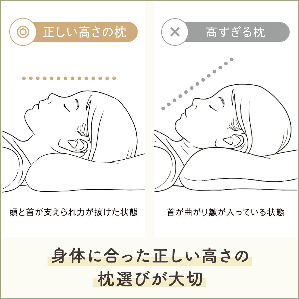 【楽天ブックス限定専売品】「育脳まくらアドバンス」中高生と大人のための高機能枕！　頭と首を正しく支えて、頭部の熱と汗を逃がす [ 小野 晴康 ] 3