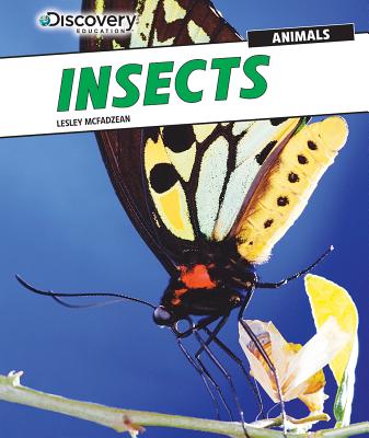 Insects INSECTS （Discovery Education: Animals） 