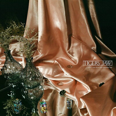 【輸入盤】I Won't Care How You Remember Me