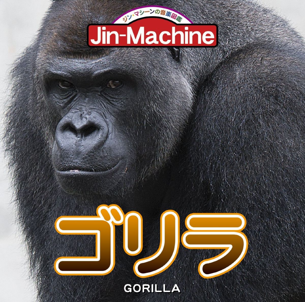 ゴリラ (ニシローランドゴリラ盤) [ Jin-Machine ]