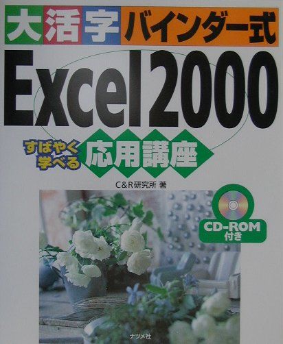 大活字バインダー式Excel　2000応用講座