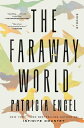 The Faraway World: Stories FARAWAY WORLD 