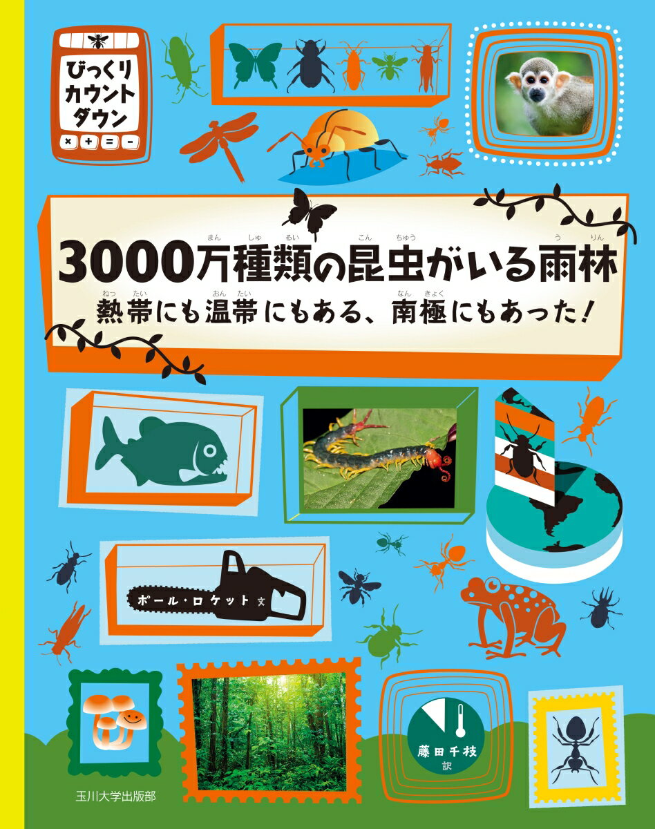 【謝恩価格本】3000万種類の昆虫がいる雨林