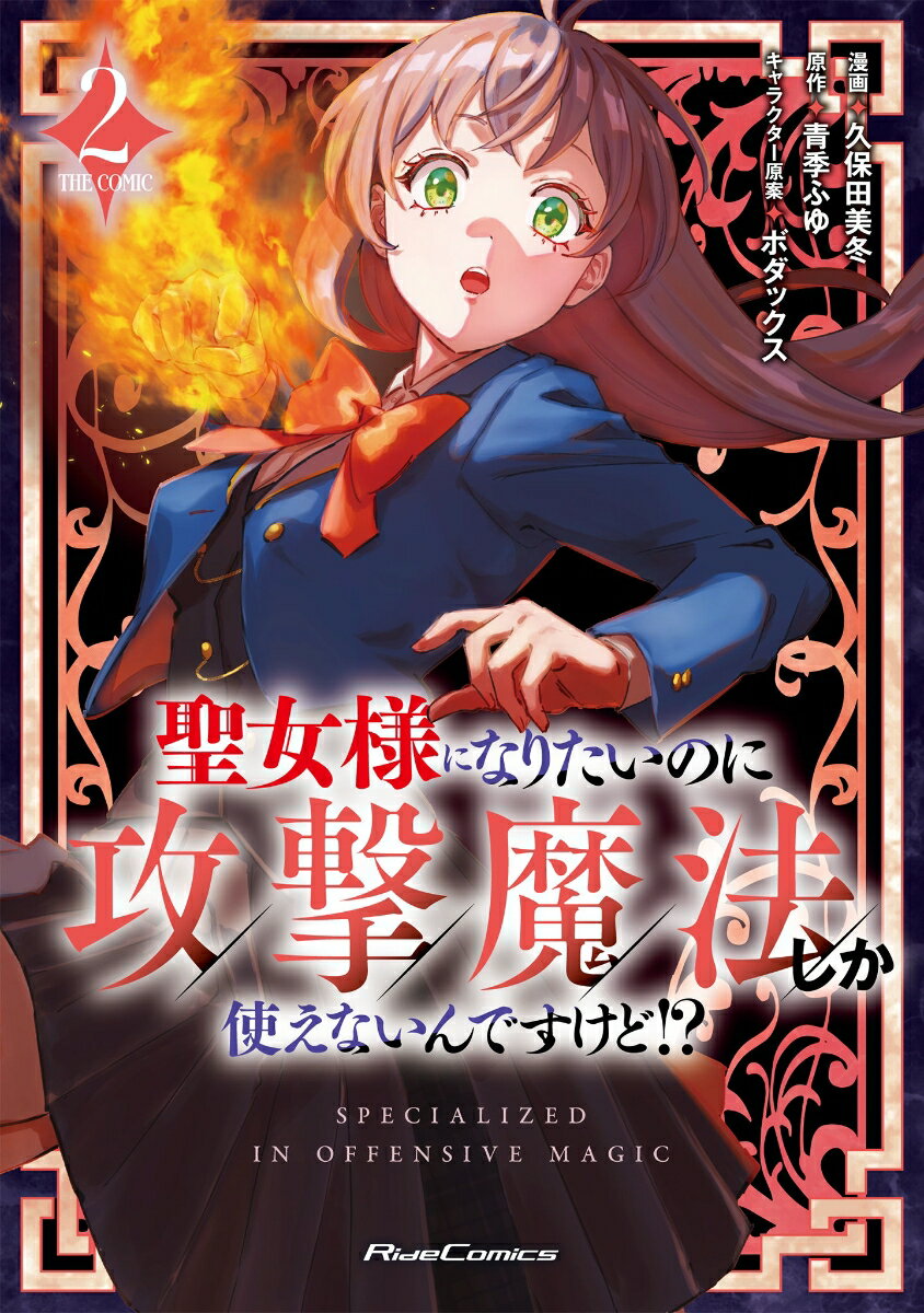 聖女様になりたいのに攻撃魔法しか使えないんですけど！？ THE COMIC 2