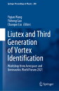 Liutex and Third Generation of Vortex Identification: Workshop from Aerospace and Aeronautics World LIUTEX 3RD GENERATION OF VOR （Springer Proceedings in Physics） Yiqian Wang