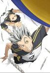 ハイキュー!!セカンドシーズン　Vol.4　Blu-ray　初回生産限定版 【Blu-ray】 [ 村瀬歩 ]