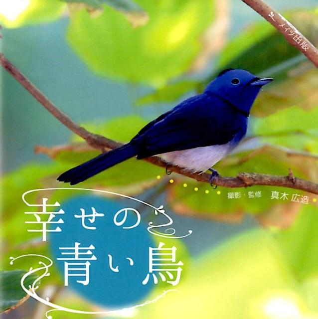 楽天市場】幸せ の 青い 鳥の通販 楽天市場】幸せ の 青い 鳥の通販