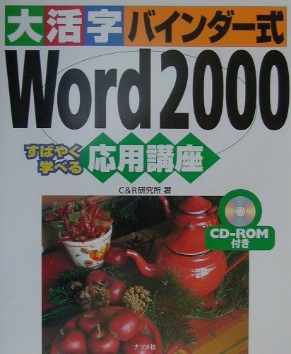 大活字バインダー式Word　2000応用講座