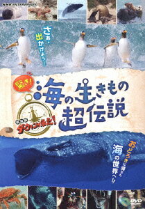 驚き！海の生きもの超伝説 劇場版ダーウィンが来た！ [ さかなクン ]