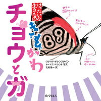 【謝恩価格本】きもかわチョウとガ