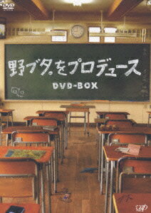 野ブタ。をプロデュース DVD-BOX [ 亀