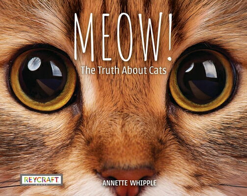 Meow! the Truth about Cats MEOW THE TRUTH ABT CATS [ Annette Whipple ]