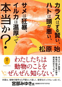 カラスはずる賢い、ハトは頭が悪い、サメは狂暴、イルカは温厚って本当か? （ヤマケイ文庫）