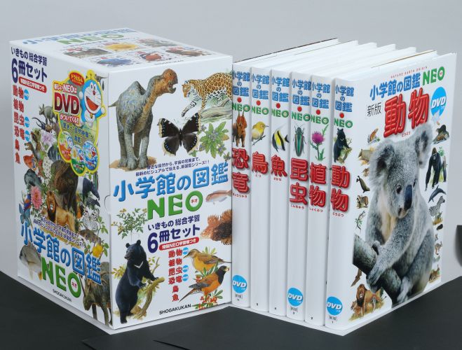 ����NEO�����������ؽ�6�����ĥ�