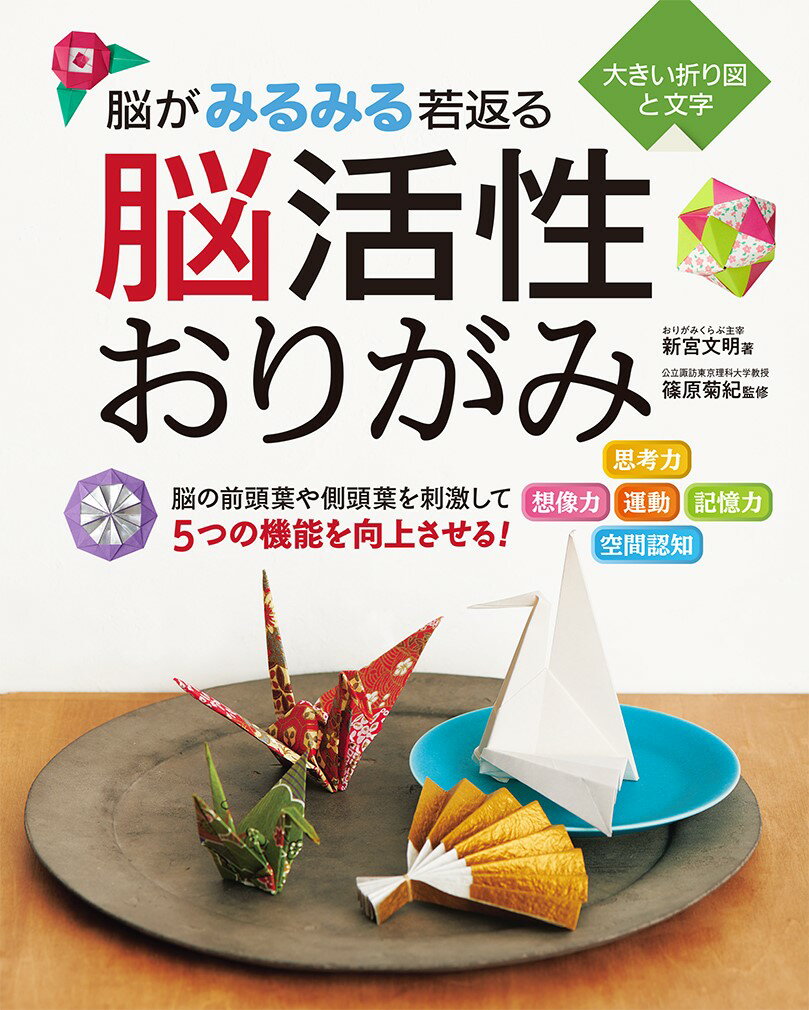 脳がみるみる若返る 脳活性おりがみ 新宮文明