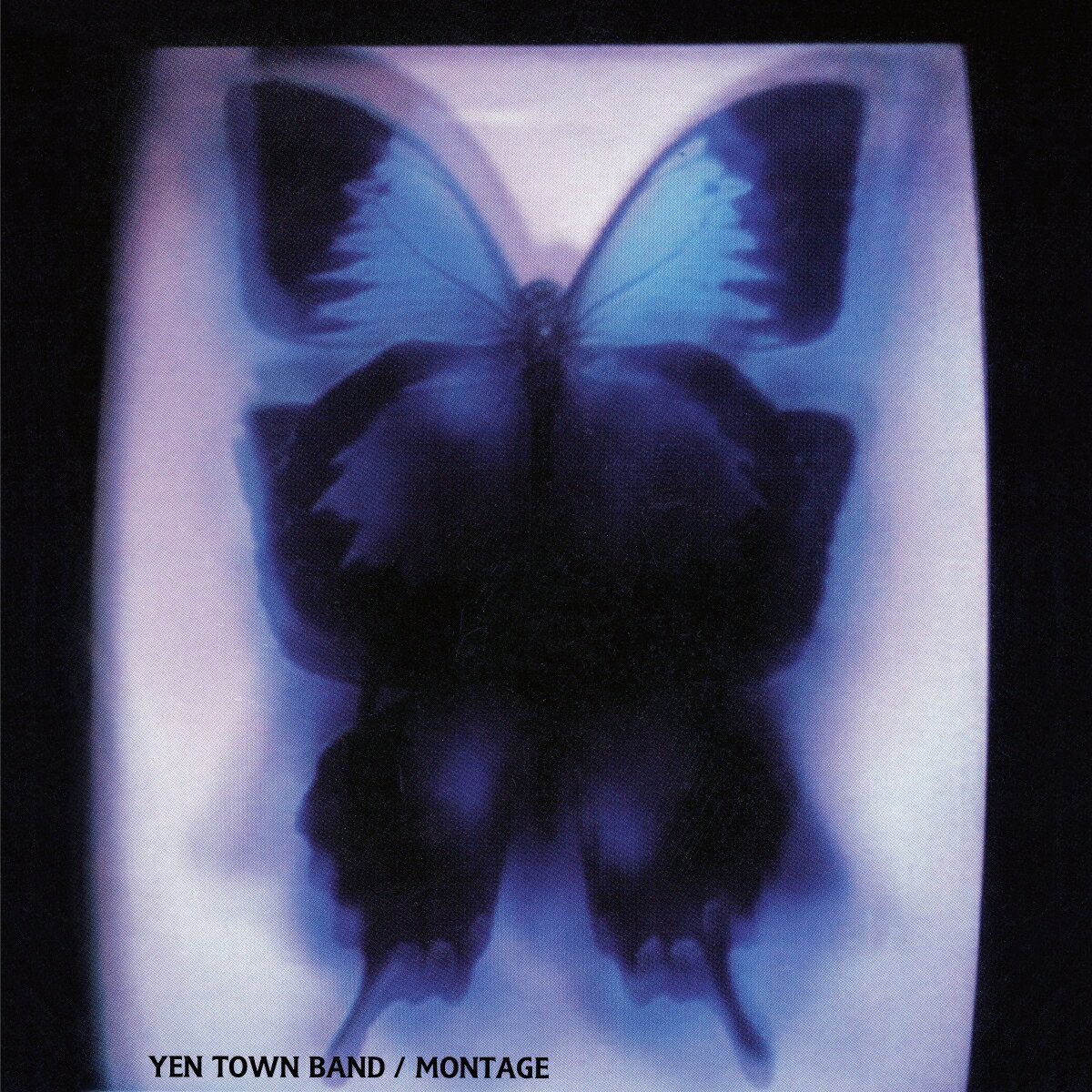 【中古】diverse journey(初回限定盤)(DVD付) 楽天市場】diverse journey YEN TOWN BANDの通販