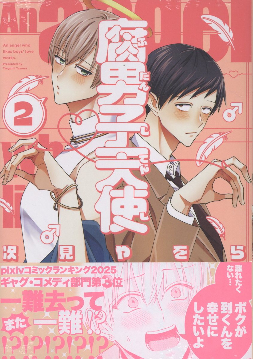 腐男子天使（2）