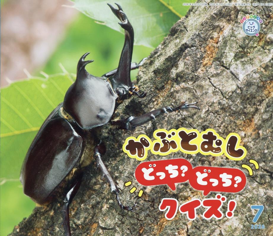 かぶとむしどっち？どっち？クイズ