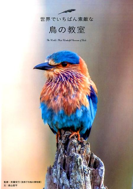 鳥の教室 世界でいちばん素敵な [ アマナイメージズ ]