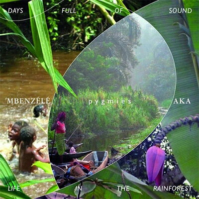 Days Full Of Sound: Life In The Rainforest 