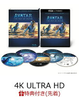 【先着特典】アバター：ウェイ・オブ・ウォーター 4K UHD 【4K ULTRA HD】(オリジナル・デカール)