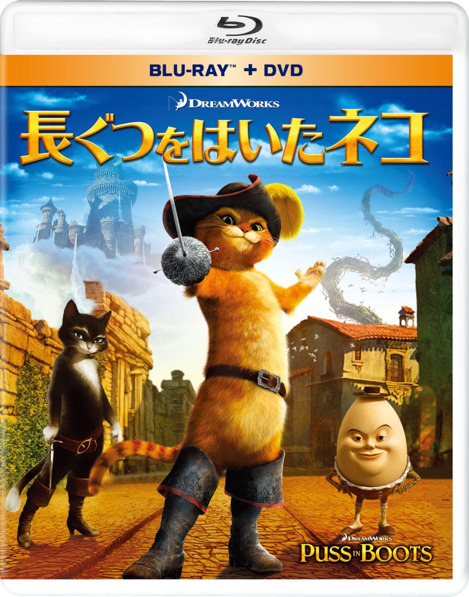 Ĺ���Ĥ�Ϥ����ͥ����֥롼�쥤��DVD��2���ȡ�