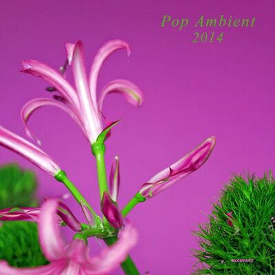 【輸入盤】Pop Ambient 2014