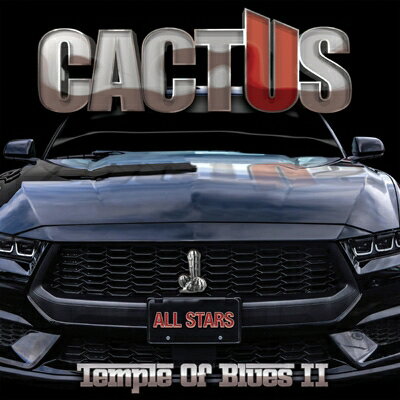 【輸入盤】Temple Of Blues II - All-Stars